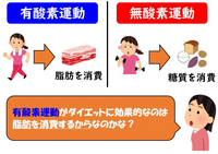 Amazon Co Jp 痩せるには運動より食べなさい 痩せる黄金比 食事管理が９割 筋トレ１割でダイエットできます Ebook テツコ 本