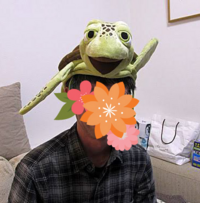 ディズニーシーの亀のクラッシュはどうすれば楽しめますか クラッシュ Yahoo 知恵袋