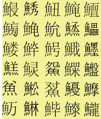 魚でも 魚偏が付く漢字と付かないものとがありますが違いは何ですか Yahoo 知恵袋