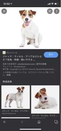 ドラえもんわんにゃん時空伝の映画に出てくるイチという犬なんですが Yahoo 知恵袋