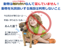 北陸 できれば金沢 に犬カフェってありますか 犬を連れて行けるカ Yahoo 知恵袋