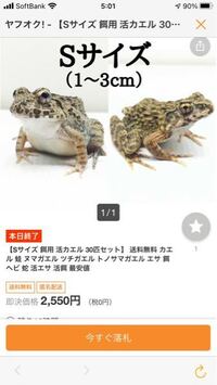 ヒバカリの餌はミミズだけでは栄養不足ですか メダカ おたまじ Yahoo 知恵袋