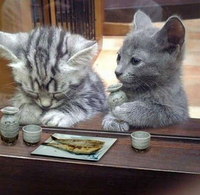 今落ち込んでいるので くだらない面白い話とかダジャレとか聞きたいで Yahoo 知恵袋