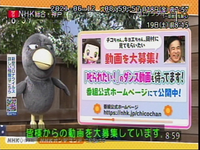 今日も チコちゃんに叱られる の放送が無い どうなっているんだ Yahoo 知恵袋
