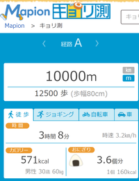 体重60 Kgf の人が 10 Km 歩いた時に 消費する熱量は何 Kca Yahoo 知恵袋