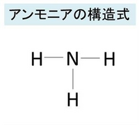 アンモニアは単結合ですか 二重結合ですか 理由もお願いしま Yahoo 知恵袋