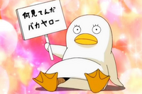 銀魂エリザベスについて最近 銀魂を全て見た恋人と 銀魂は1話も見たこ Yahoo 知恵袋