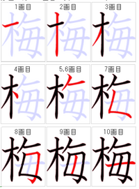 梅の書き方 9画目のノは跳ねるのですか 止めるのですか Yahoo 知恵袋