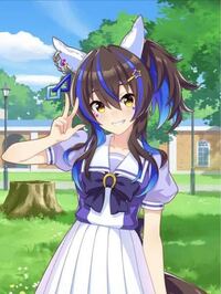 ウマ娘の青メッシュのはいったキャラ誰ですか Yahoo 知恵袋