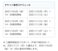 在庫一掃 ディズニーチケット 大人1枚 2デー 11月日まで オンラインストア限定