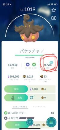 ポケモンgoのバケッチャのサイズはどう見分けるんですか 何サイズか Yahoo 知恵袋