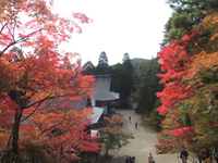 京都の駐車場の1泊最大料金の安いエリアについてお伺いしたいです 10月30日 Yahoo 知恵袋