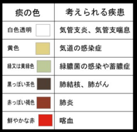 この半年の間 喉の奥が痒くなり咳が出てしまいます 痰も緑色のま Yahoo 知恵袋