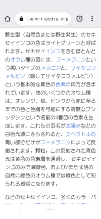 セキセイインコの青い羽根についてセキセイインコには青い色素がなく 青い Yahoo 知恵袋