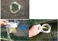 屋外飼育メダカの冬の水換え上記について質問です 1年半ぐらい Yahoo 知恵袋