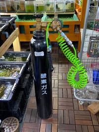 淡水魚を飼育しています 水槽に酸素ボンベを付けています その酸素ボ Yahoo 知恵袋