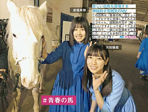 日向坂46 青春の馬 生写真 18名セット 日向坂46 青春の馬 生写真 18名セット