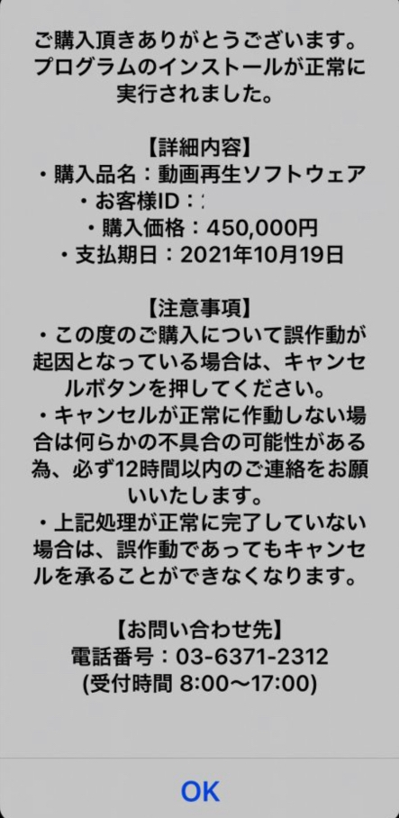 ご購入頂きありがとうございます。 - プログラムのインストールが正常 