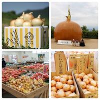 淡路島に行くので淡路島の玉ねぎを買おうかと思ってます 安くて美味し Yahoo 知恵袋