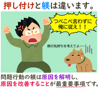 犬の躾について 犬が悪さした時に叩くはngと知恵袋でも調べても Yahoo 知恵袋
