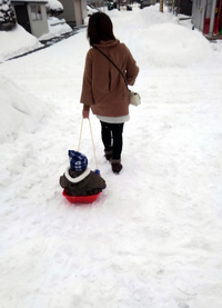 北海道民は冬はどうやって過ごしてるんですか 通勤通学は氷点下の Yahoo 知恵袋