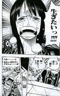 ワンピース アニメ について ニコ ロビンが正式な仲間になる Yahoo 知恵袋