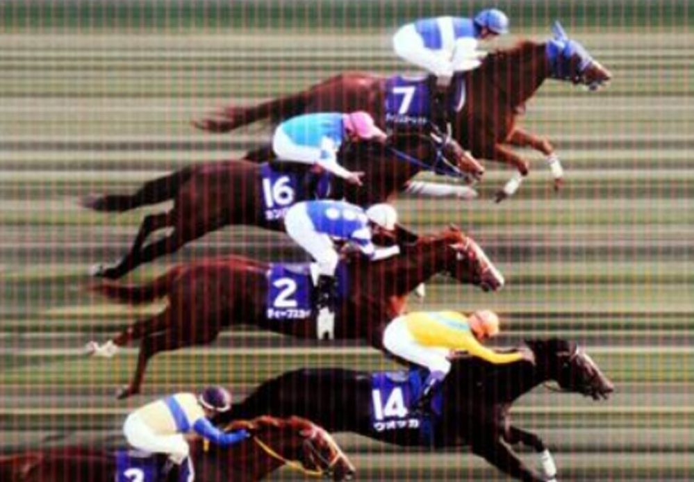 2008年天皇賞秋はダイワスカーレットが勝ったように見えるんですけど