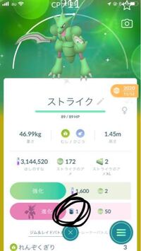 Pokemongoでこのアイテムは何に使いますか 下の画 Yahoo 知恵袋