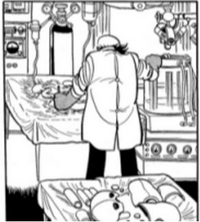 ブラックジャックのピノコは成長しますか 普通に生まれていたら Yahoo 知恵袋