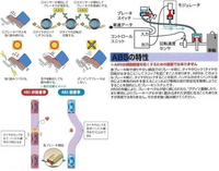 回答の画像