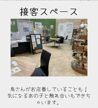 Mozoワンダーシティ こんぱまる名古屋店では鳥との触れ合い Yahoo 知恵袋