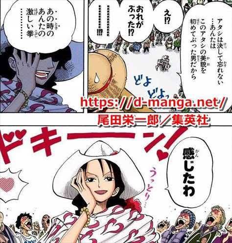 ワンピースでルフィを好きなキャラはハンコックですか、それ以外にビビ 