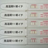 高温期11日目フライング写真載せます苦手な方はご遠慮ください上が高温期10日目 Yahoo 知恵袋