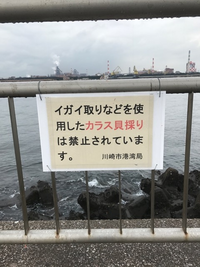 海で採ってはいけない貝について以前岩にびっしりくっついている