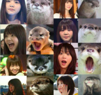 いきものがかりの吉岡聖恵さんは美人ですか ぼくは可愛いと思っちゃうけど Yahoo 知恵袋