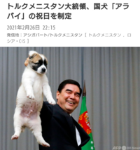 この犬の種類分かる方いますか アラバイこと セントラル Yahoo 知恵袋
