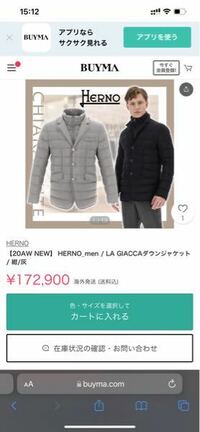 ライトダウンジャケット お店で 脱ぐ 脱がない 販売