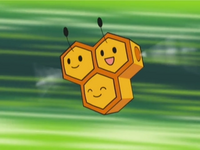 ミツハニーの雄は使い道がありますか ビークインにもなれ Yahoo 知恵袋