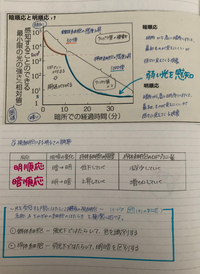 高校生物暗順応 明順応で いつもどっちか迷います 効果的な覚え方教えていただ Yahoo 知恵袋