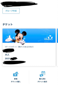 ディズニーランドのチケットの障害者チケットについて教えて下さい Yahoo 知恵袋 ディズニーランドのチケットの障害者チケットについて教えて下さい Yahoo 知恵袋