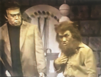 あなたにとってマイナーだけど忘れられない70年代80年代の特撮番組 Yahoo 知恵袋