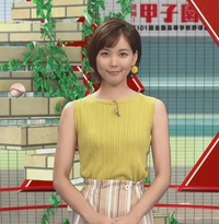 ヒロド歩美アナ可愛いですね ショーヘアーがよくお似合いで可愛いですね Yahoo 知恵袋