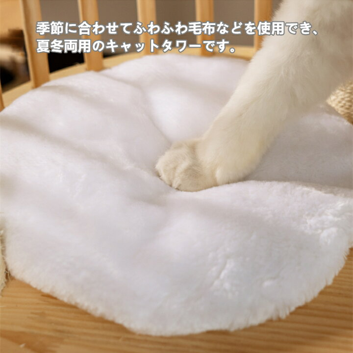 回答の画像