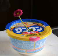 タンポポの頭だけを水につけていたら何日くらい生き延びますか 毎日新し Yahoo 知恵袋