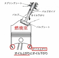 回答の画像