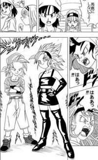 ドラゴンボールのパンとビーデルはスーパーサイヤ人になることは可能な Yahoo 知恵袋