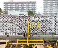 南向きの庭のアイアンフェンス 長さ4メートル弱高さ1 2メートル の下に新たに Yahoo 知恵袋