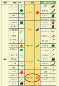 これから 玉ねぎ収穫の後にネギを植えても 連作障害は出ませんか Yahoo 知恵袋