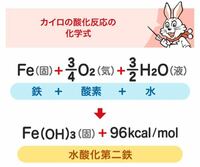 中学生の化学で 使い捨てカイロの化学反応式を教えてください Yahoo 知恵袋