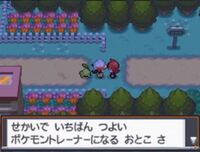 ポケモンのソウルシルバーで出てくるライバルにはなんて名前をつけましたか Yahoo 知恵袋